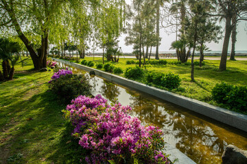 japanese garden with rose phododendrons  and canal with pump and flowing water in Batumi , Georgia