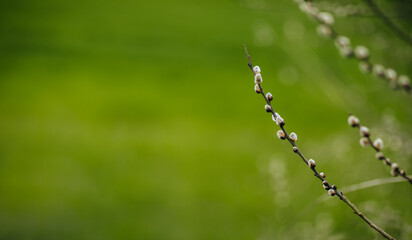 bases on the branches