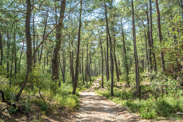 Scenery view of Uçansu waterfall which is located in the village of Akçapınar, near the town of Gebiz, in the Serik district in the Antalya province.