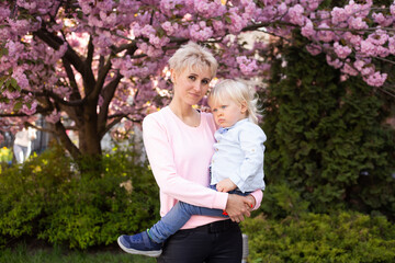 young mother and little baby boy son having fun in spring park near pink sakura blooming tree. Spring concept