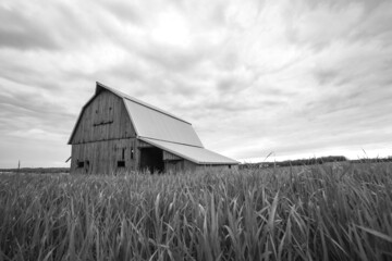 old barn in the field