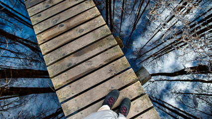 Traveler feet boots on wooden trail. The trees are reflected in the water of a wooden pool in the forest - 502481831