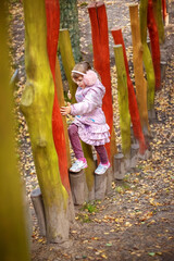 Cute happy little girl in winter faux fur ear muffs plays outdoors at wooden playground on warm sunny autumn day - 502481865