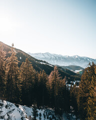 Bergpanorama mit Wald