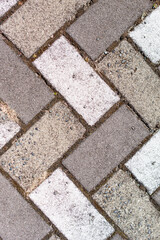 Closeup of sidewalk paved with rectangular white and gray tiles in top view