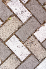 Closeup of sidewalk paved with rectangular white and gray tiles in top view