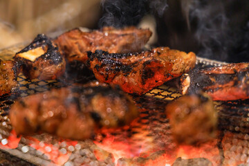 炭火で焼く美味しそうな肉