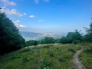 Mountain landscape with a view of the plain and the city, thick green trees and ancient hills in the background, on a sunny summer day with some clouds