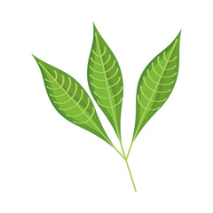 green leafs plants