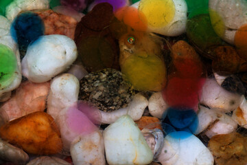 Fototapeta na wymiar colorful stones in water wallpaper with transparent colorful balls, creative abstract wallpaper