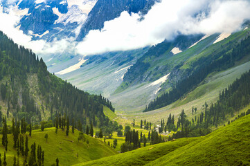 Landscape in the mountains. Panoramic view from the top of Sonmarg, Kashmir valley in the Himalayan region. Serene meadows, alpine trees, wildflowers on the trails of Great Laks of Kashmir Trek, 2022 - obrazy, fototapety, plakaty