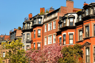Fototapeta na wymiar Brick house and cherry blossom in Boston historical Back Bay, Boston Massachusetts