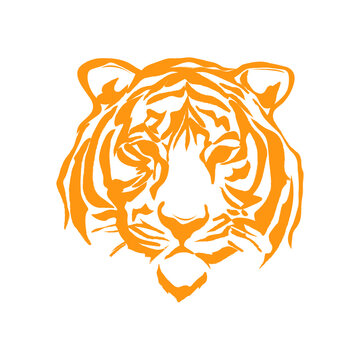 Tiger face vector illustration design