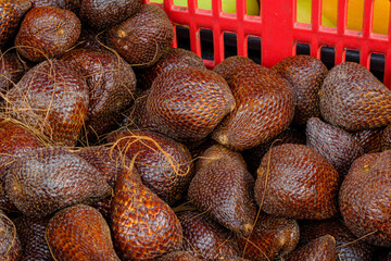 Salak (Salacca zalacca) is a species of palm tree (family Arecaceae).