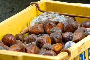 Salak (Salacca zalacca) is a species of palm tree (family Arecaceae).