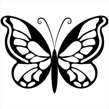 Batterfly icon vector illustration design
