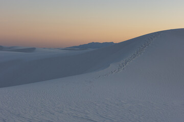Footprints in the sand at sunset in White Sands National Park
