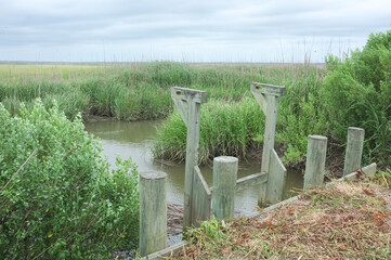 Trunk on a Santee Delta canal near Georgetown, South Carolina. Trunks are water-control devices used for regulating water levels on tidal fields throughout coastal South Carolina. 