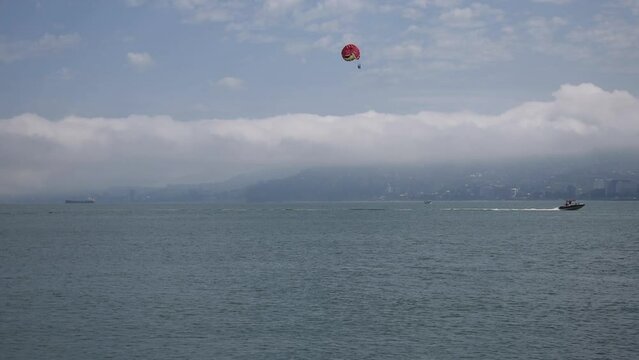 parachutist in the sky over the sea. High quality FullHD footage