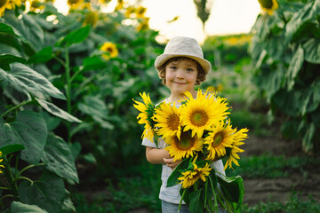 Happy little boy walking in field of sunflowers. Child playing with big flower and having fun. Kid...