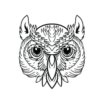 hand drawn head owl vintage doodle illustration for tattoo stickers poster etc