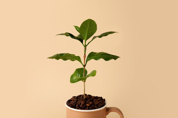 Beautiful coffee tree in cup and beans on color background, closeup