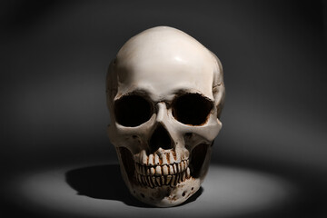 Human skull on dark background