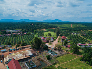 Fototapeta na wymiar Aerial drone view of oil palm plantations land and workers settlements in Asahan, Melaka, Malaysia.