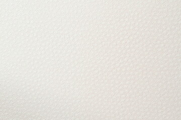 White flower pattern paper texture,  wall texture background, empty space for text.