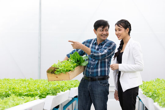 businesswoman and farmer checking organic vegetables together in hydroponic farm