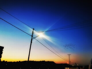 power lines at sunset