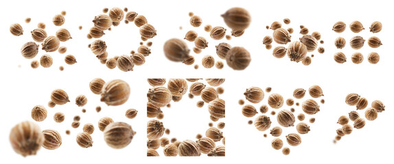 A set of photos. Coriander seeds levitate on a white background