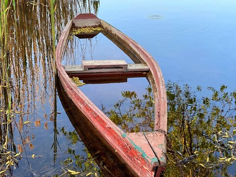 Old boat on the lake. Beautiful river with old boat on the shore. Scenic reflection of trees and reed in clear calm water.  Sunken wooden boat on the lake in the reeds.