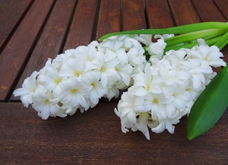 White hyacinths on a wooden table.