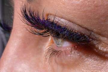 Close-up of a woman's eye with extended eyelashes