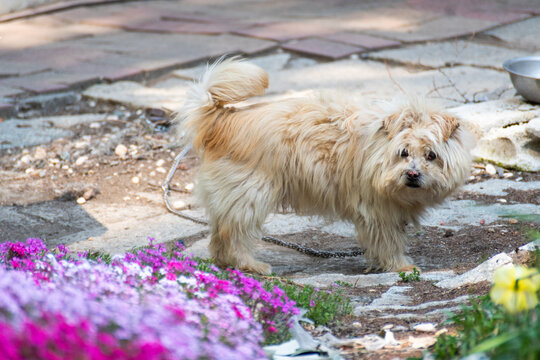 努城下photos Images Assets Adobe Stock