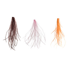 Long feathers or tails of birds of different colors. Template for decoration or design isolated on...