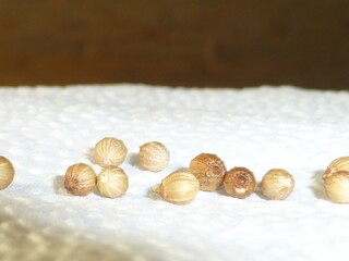 coriander seeds