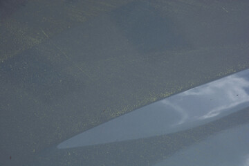 Car Engine Hood covered with pollen and fine dust in the spring
