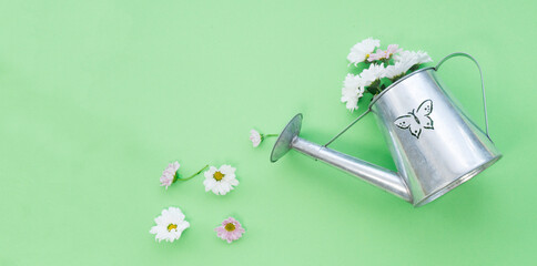 Watering can with flowers on a green background