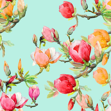 Blossoming magnolia branch.Image on a white and color background.Pattern seamless.