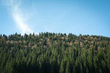 Photo of beautiful Carpathian views in Ukraine