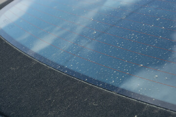 desert dust and pollen at black Fabric Convertible Car Roof