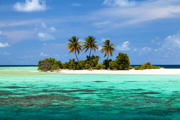 Small Lovely Desert Island in Maldives. Dreamlike Travel Destination.