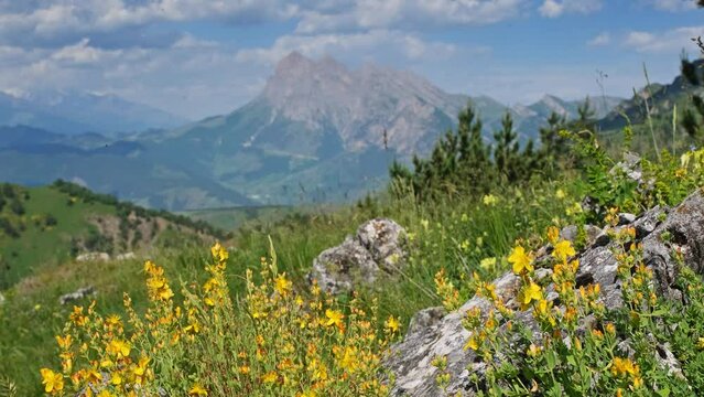 Idyllic mountain landscape with blooming meadows in springtime, 4k