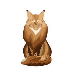 Cute cat Maine Coon isolated on color background. Funny animals. Card, postcards for kids. Flat vector illustration for banner, card, wallpaper, poster