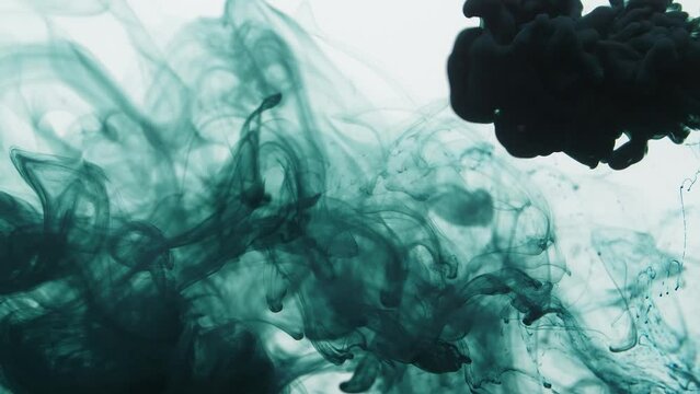 Dark Green Ink Sprayed Into Water On A White Background
