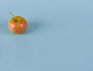 A garden apple on a blue background with space to copy.The concept is healthy eating.