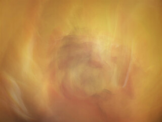 a flower in a golden glow, abstract blurred background