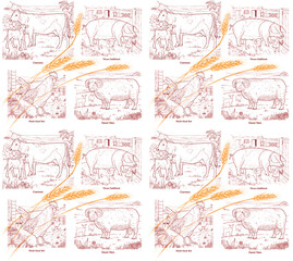 Guernsey Cow, Wessex Saddleback Pig, Dorset Horn Sheep, Rhode Island Red Cockerel. (repeat pattern).